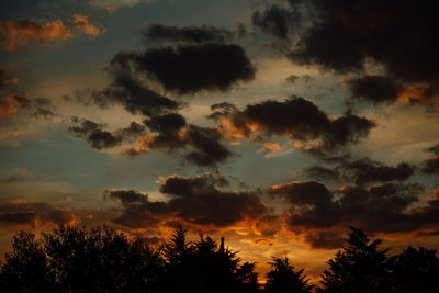 Low angle view of silhouette trees against orange sky