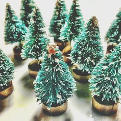 Close-up of christmas decorations hanging on tree