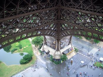 High angle view of trees