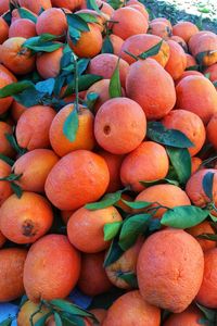 Full frame shot of fruits in market