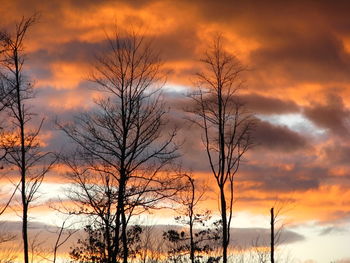 Silhouette bare trees against dramatic sky during sunset