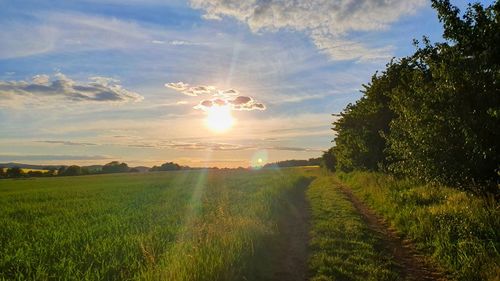 Scenic view of field against sky during sunset