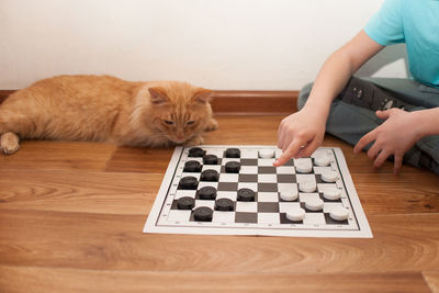 Cat playing on table