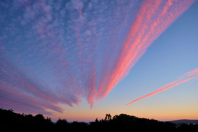 Low angle view of silhouette trees against sky during sunset