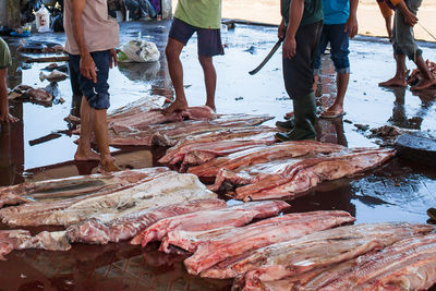 Group of people at fish