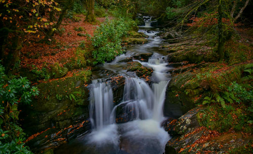 Autumn/fall waterfall