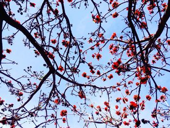 Low angle view of tree against sky