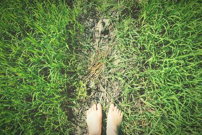 Low section of person standing on grassy field