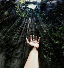 Cropped image of hand against branches hanging from rock formation