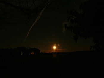 Silhouette of trees at night