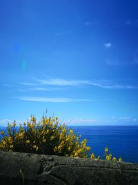 Scenic view of sea against blue sky