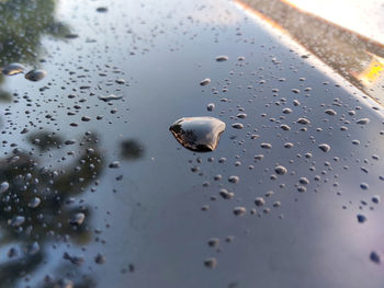 High angle view of raindrops on wet glass