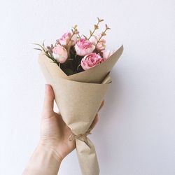 Close-up of hand holding flower over white background