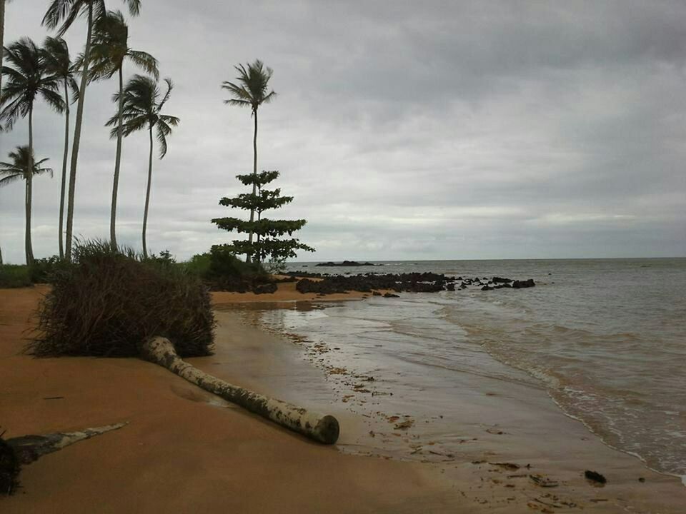 beach, sea, sand, shore, water, sky, horizon over water, palm tree, tranquility, tranquil scene, tree, scenics, beauty in nature, nature, cloud - sky, coastline, cloud, idyllic, incidental people, cloudy