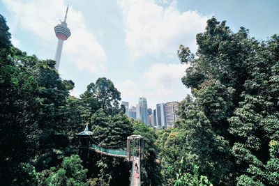 Canopy walk against the trees and buildings in the city