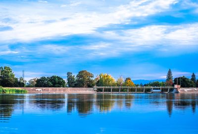 Reflection of trees in swimming pool