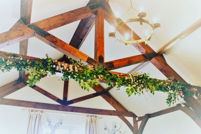 Low angle view of potted plants on ceiling