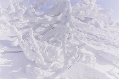 Full frame shot of snow covered land