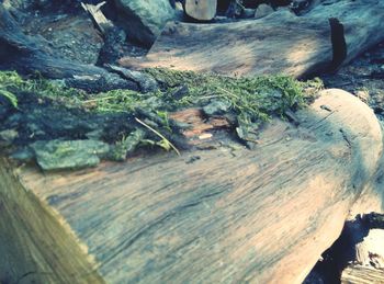 Close-up of wooden plank
