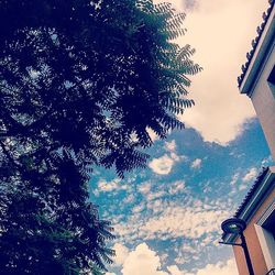 Low angle view of building against sky