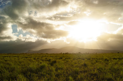 Scenic view of field against sky
