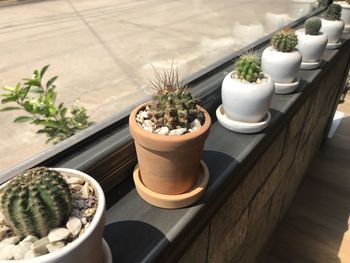 High angle view of potted plants on table