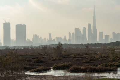 Flamingoes in ras al khor wildlife sanctuary, ramsar site, flamingo hide2, dubai, uae