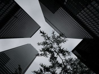 Low angle view of high-rise buildings and tree against sky