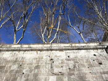 Low angle view of bare trees against blue sky