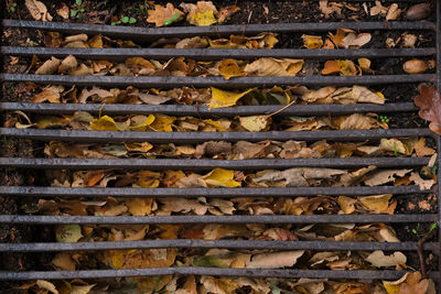 Full frame shot of wooden wall