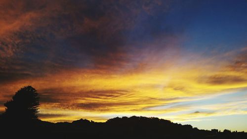 Silhouette trees at sunset