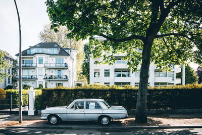 Cars on street amidst houses and trees in city