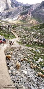 Panoramic view of people walking on mountain