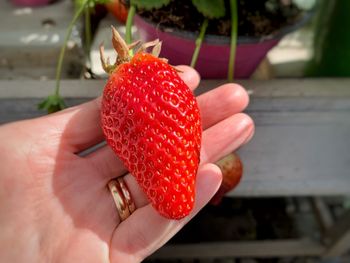 Close-up of hand holding strawberry