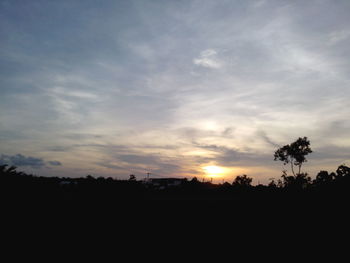 Silhouette of trees at sunset