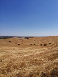 Scenic view of field against clear blue sky