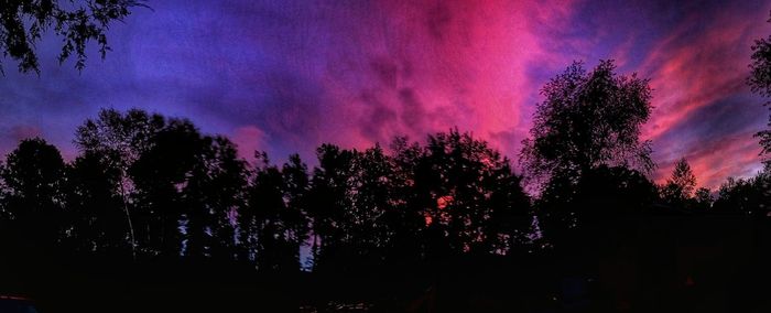 Low angle view of silhouette trees against sky at sunset