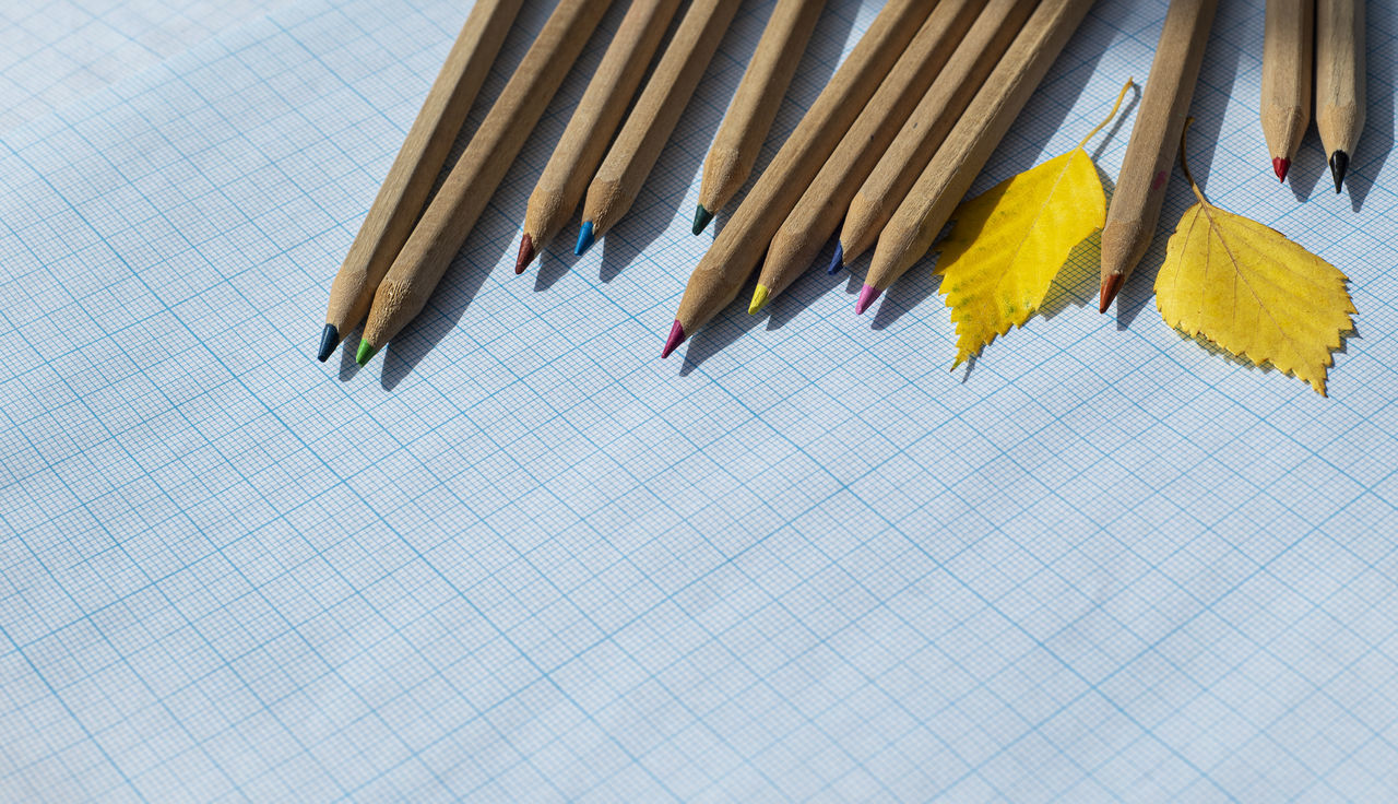 HIGH ANGLE VIEW OF COLORED PENCILS ON PAPER