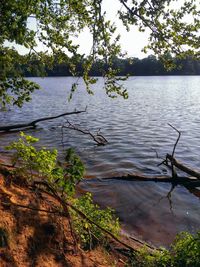 Scenic view of lake