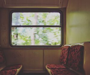 View of trees seen through window