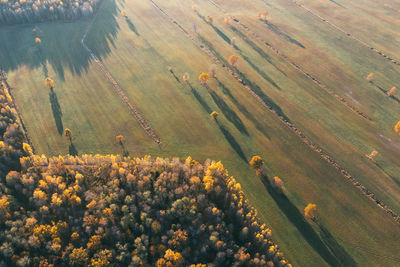 Aerial view fields and forests in autumn day.