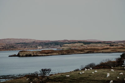 Scenic view of lake against clear sky