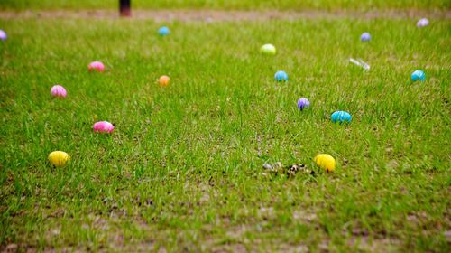 Close-up of multi colored ball on field