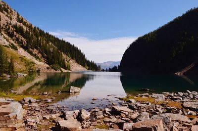 Scenic view of lake by trees against sky