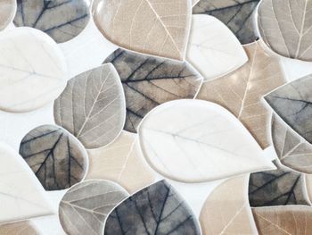 High angle view of pebbles on white surface