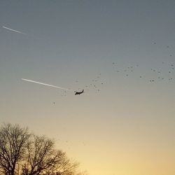 Airplane flying in sky