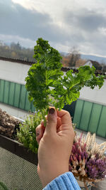 Midsection of person holding ice cream against plants