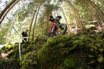 People riding bicycle in forest