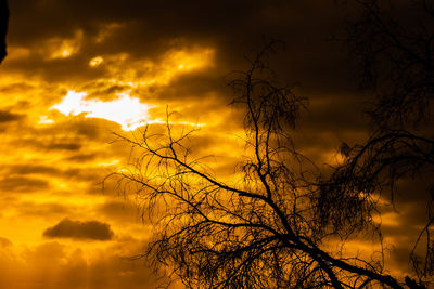 Low angle view of silhouette tree against sunset sky