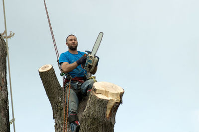 Worker with chain saw cutting up a tree